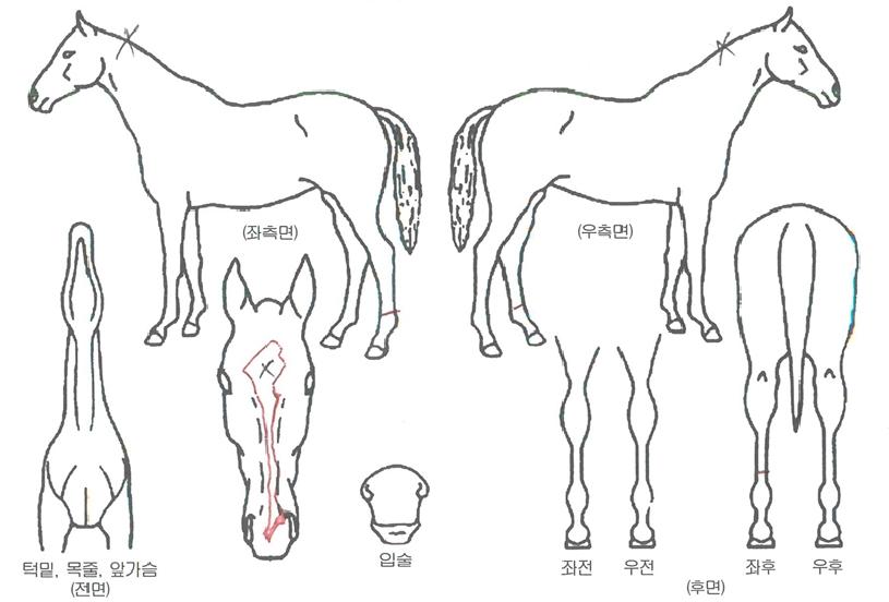 ���丮������ ����,���,�޸�,�λ�,�ٸ��� Ư¡����