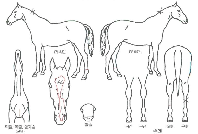 ��������Ÿ��Ÿ�ڸ��� ����,���,�޸�,�λ�,�ٸ��� Ư¡����