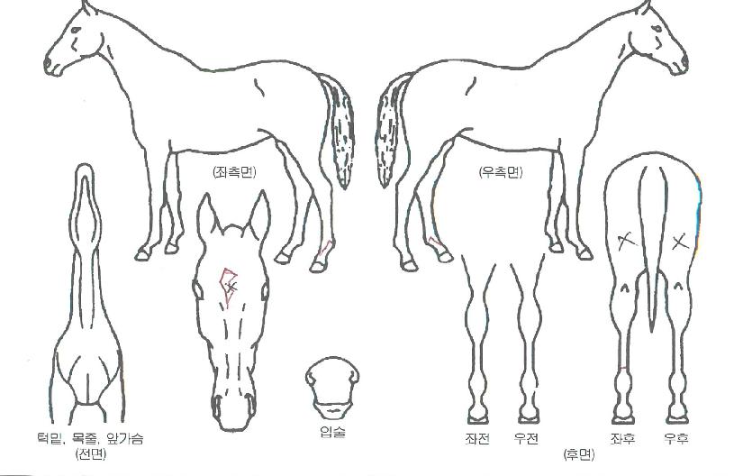 ��Ű������ ����,���,�޸�,�λ�,�ٸ��� Ư¡����