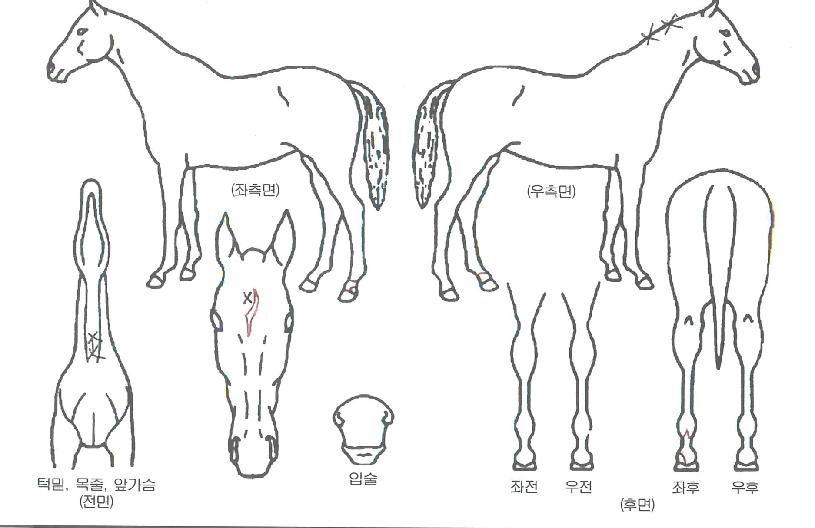 �����̽��� ����,���,�޸�,�λ�,�ٸ��� Ư¡����