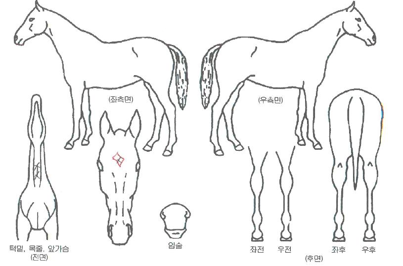 ��������� ����,���,�޸�,�λ�,�ٸ��� Ư¡����