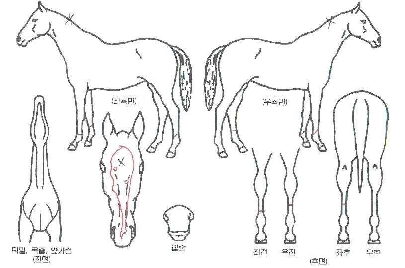 �������� ����,���,�޸�,�λ�,�ٸ��� Ư¡����