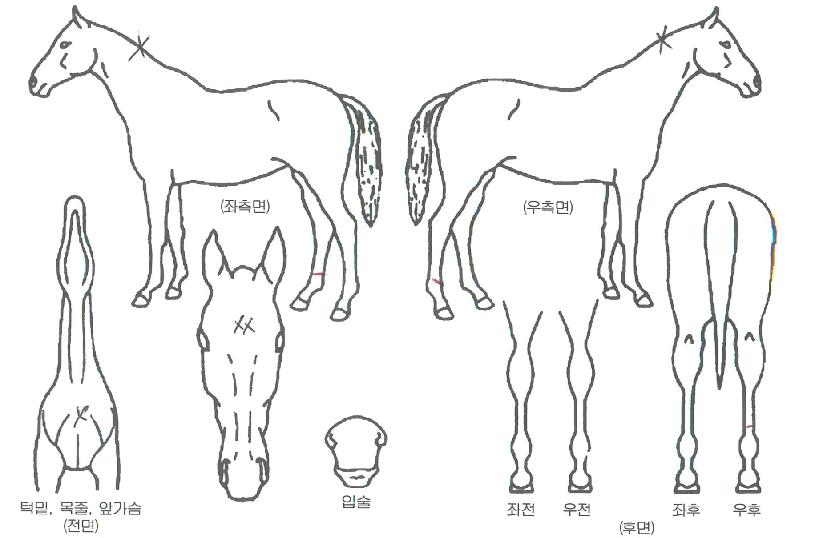 ���̺����� ����,���,�޸�,�λ�,�ٸ��� Ư¡����