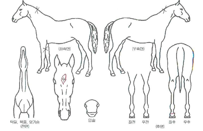 �������� ����,���,�޸�,�λ�,�ٸ��� Ư¡����