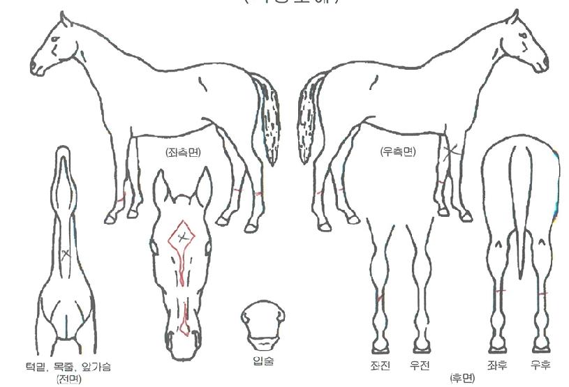 ��̽��͸������ڸ��� ����,���,�޸�,�λ�,�ٸ��� Ư¡����