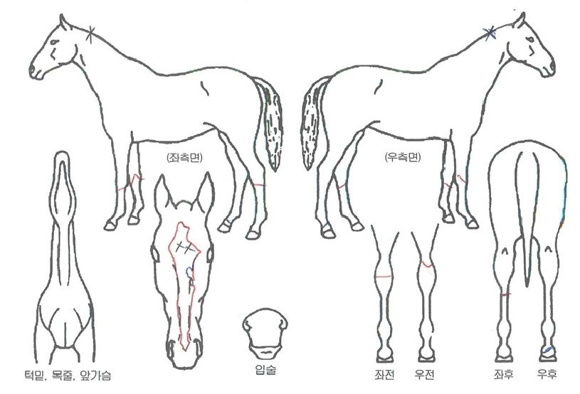 �ݺ���Ʈ�� ����,���,�޸�,�λ�,�ٸ��� Ư¡����