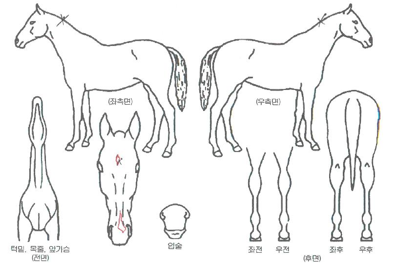 �ʿ��������� ����,���,�޸�,�λ�,�ٸ��� Ư¡����