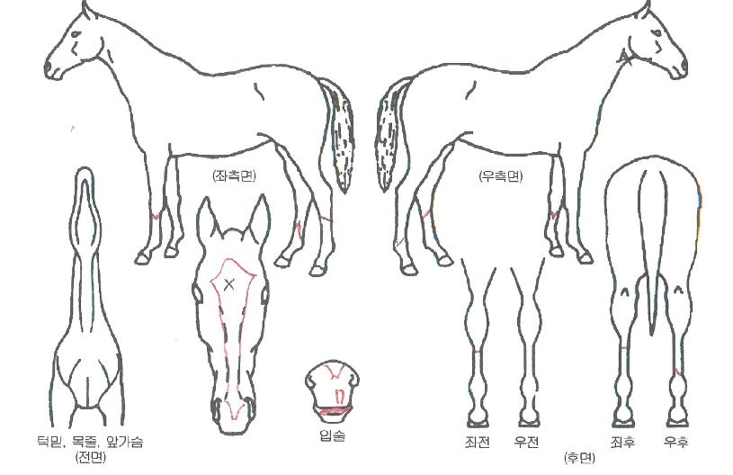 ����ű���ڸ��� ����,���,�޸�,�λ�,�ٸ��� Ư¡����