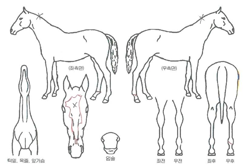 õ�������� ����,���,�޸�,�λ�,�ٸ��� Ư¡����