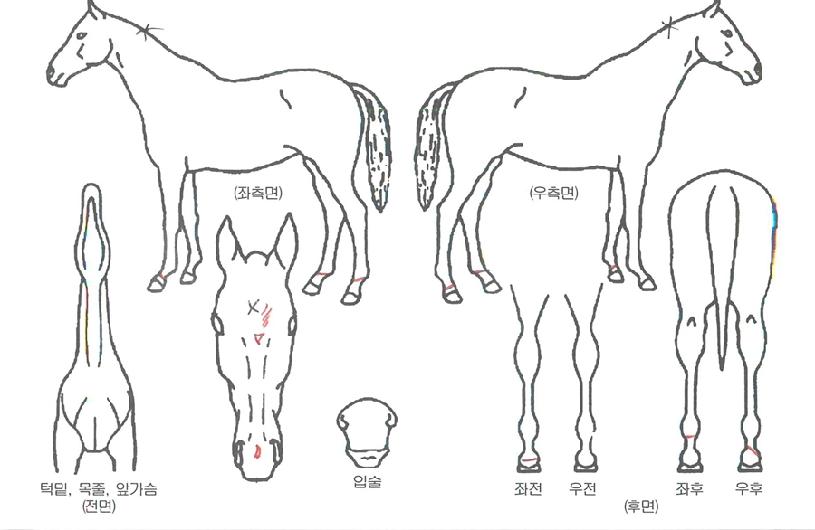 Áö»óºñÇàÀÇ Ãø¸é,¿ì¸é,µÞ¸é,µÎ»ó,´Ù¸®ÀÇ Æ¯Â¡µµÇØ