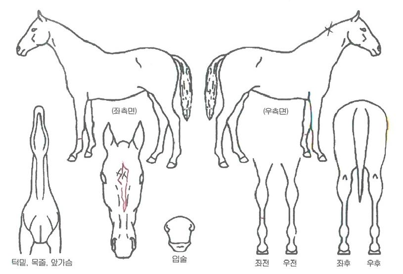 ����ó���� ����,���,�޸�,�λ�,�ٸ��� Ư¡����