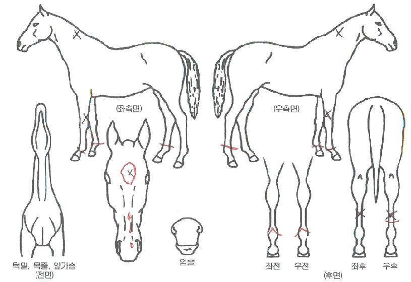 �������� ����,���,�޸�,�λ�,�ٸ��� Ư¡����