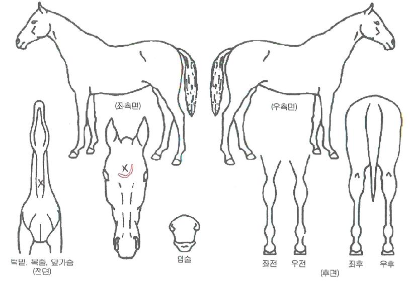 ��Ƽ������ ����,���,�޸�,�λ�,�ٸ��� Ư¡����