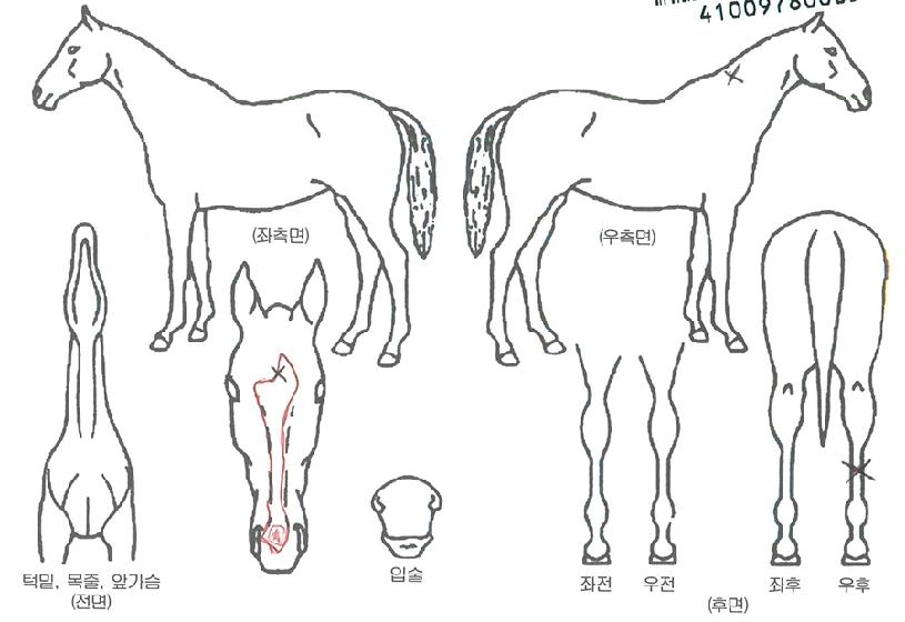 º½µ¿ÀÌÀÇ Ãø¸é,¿ì¸é,µÞ¸é,µÎ»ó,´Ù¸®ÀÇ Æ¯Â¡µµÇØ