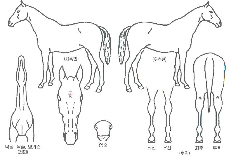 �����ͺ��� ����,���,�޸�,�λ�,�ٸ��� Ư¡����