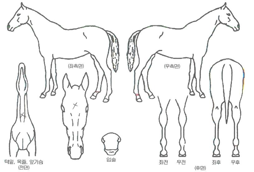 �������� ����,���,�޸�,�λ�,�ٸ��� Ư¡����