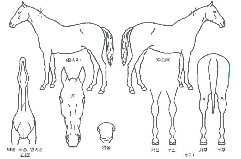 ���̽����� ����,���,�޸�,�λ�,�ٸ��� Ư¡����