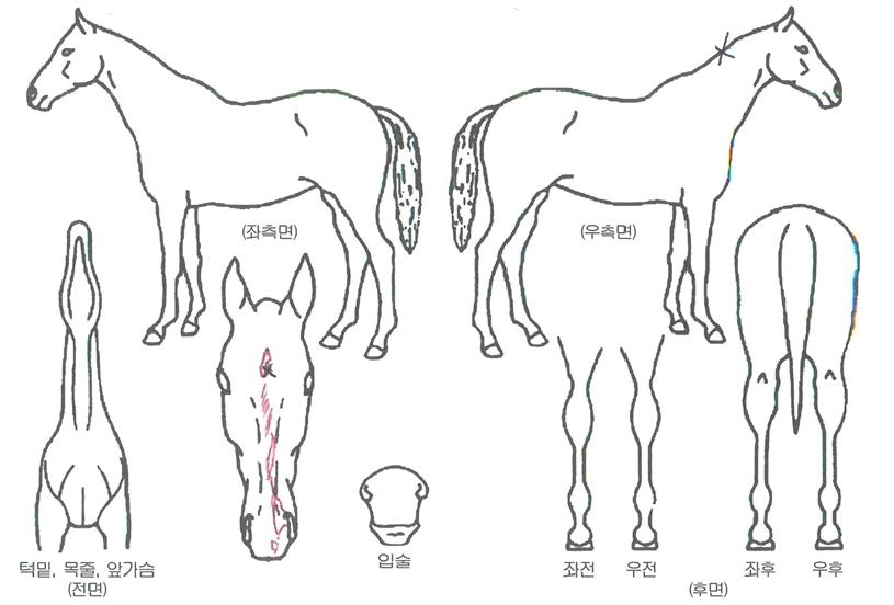 ���̽�ź���� ����,���,�޸�,�λ�,�ٸ��� Ư¡����