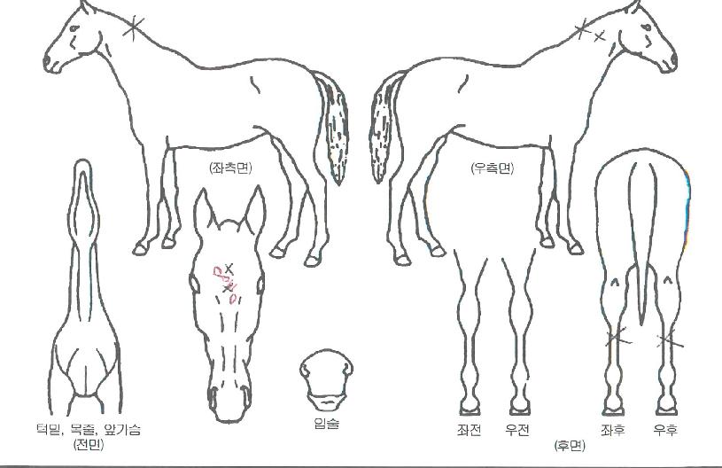 ���������� ����,���,�޸�,�λ�,�ٸ��� Ư¡����