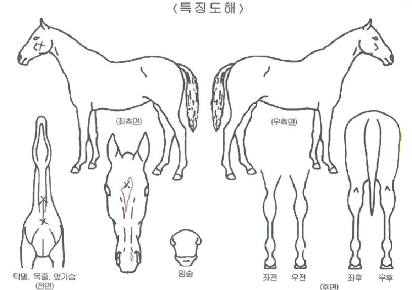 ´ëÇÑÁ¦ÀÏÀÇ Ãø¸é,¿ì¸é,µÞ¸é,µÎ»ó,´Ù¸®ÀÇ Æ¯Â¡µµÇØ
