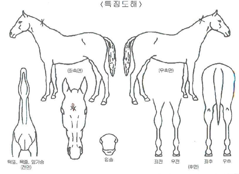 �̽��������� ����,���,�޸�,�λ�,�ٸ��� Ư¡����