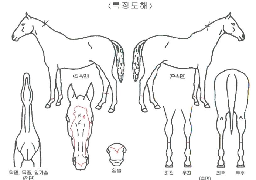 �̽������� ����,���,�޸�,�λ�,�ٸ��� Ư¡����