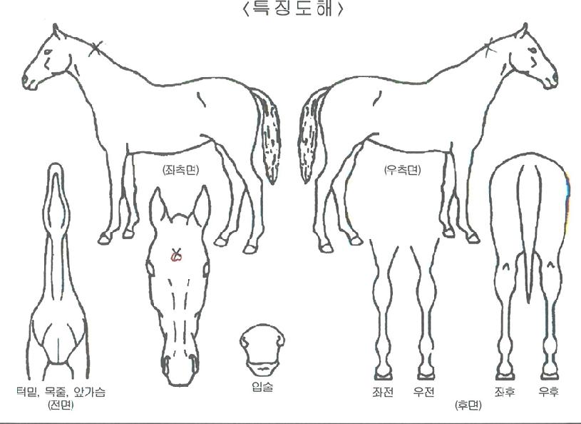 ���丮����Ʈ�� ����,���,�޸�,�λ�,�ٸ��� Ư¡����