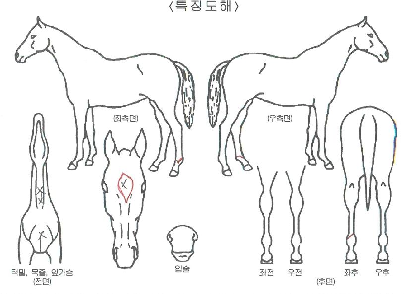 ����� ����,���,�޸�,�λ�,�ٸ��� Ư¡����