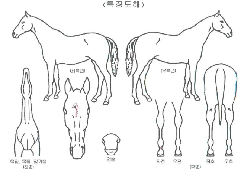 ���ȭ���� ����,���,�޸�,�λ�,�ٸ��� Ư¡����