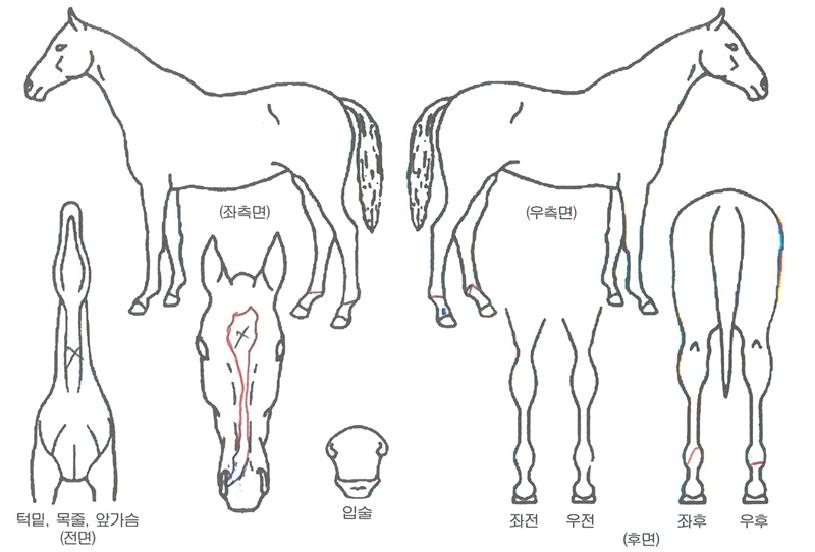 ������ȭ���� ����,���,�޸�,�λ�,�ٸ��� Ư¡����