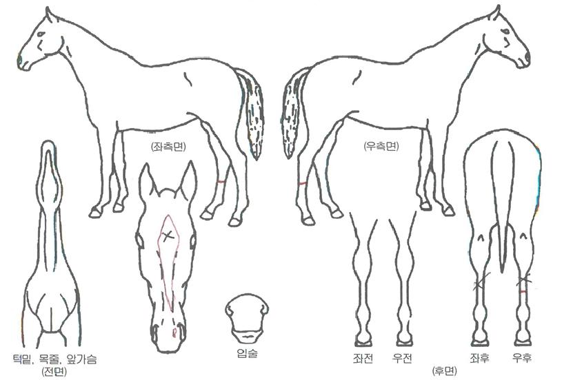 �ҳʷ�Ƽ�����ڸ��� ����,���,�޸�,�λ�,�ٸ��� Ư¡����