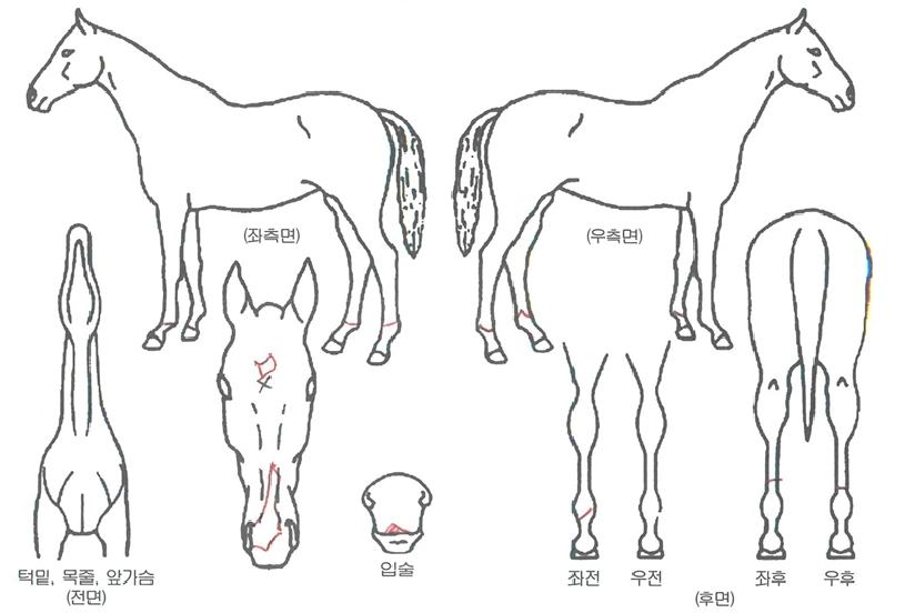 ���������� ����,���,�޸�,�λ�,�ٸ��� Ư¡����