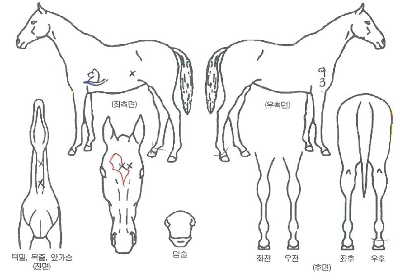 �־����������� ����,���,�޸�,�λ�,�ٸ��� Ư¡����