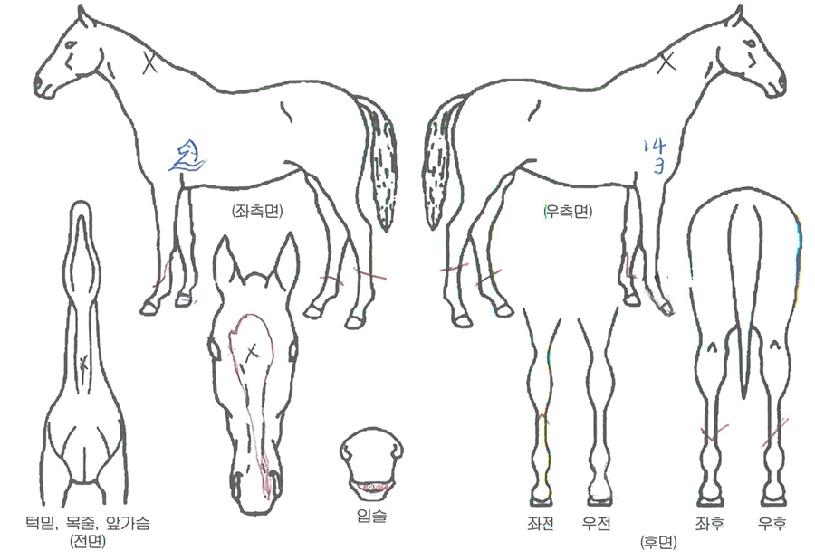 ��Ծ����� ����,���,�޸�,�λ�,�ٸ��� Ư¡����