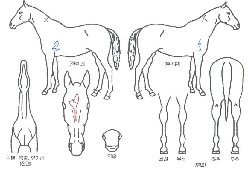 ������� ����,���,�޸�,�λ�,�ٸ��� Ư¡����