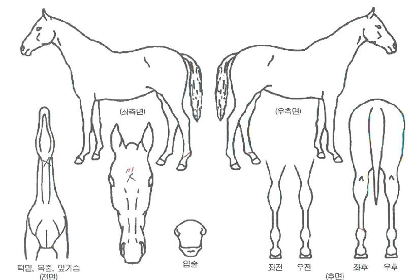 ¿¡³ÊÁöÆ÷ÀÎÆ®ÀÚ¸¶ÀÇ Ãø¸é,¿ì¸é,µÞ¸é,µÎ»ó,´Ù¸®ÀÇ Æ¯Â¡µµÇØ