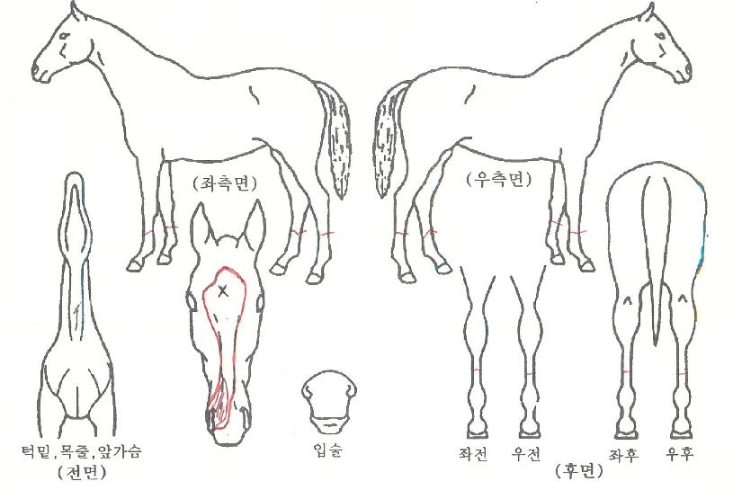 �������� ����,���,�޸�,�λ�,�ٸ��� Ư¡����