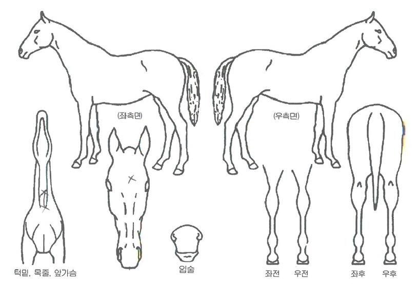 �����÷��� ����,���,�޸�,�λ�,�ٸ��� Ư¡����