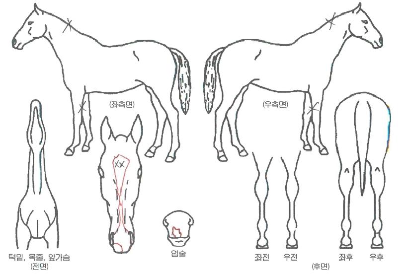 ����Ÿ���� ����,���,�޸�,�λ�,�ٸ��� Ư¡����