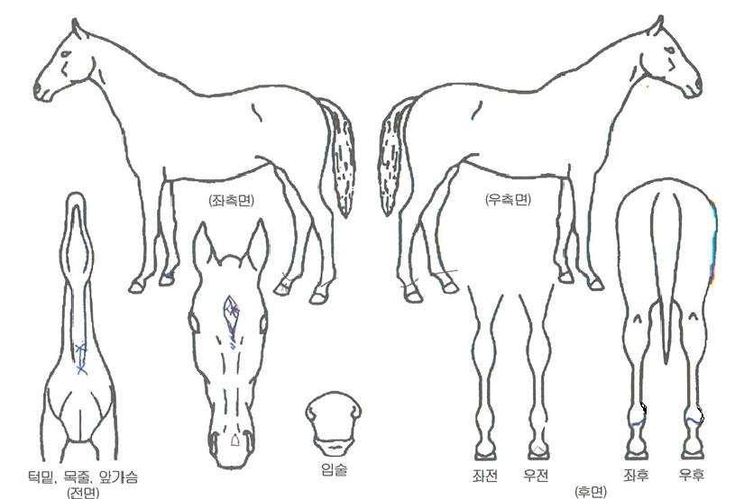 ���������� ����,���,�޸�,�λ�,�ٸ��� Ư¡����