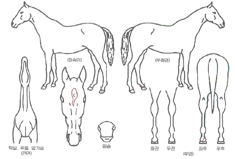 �������� ����,���,�޸�,�λ�,�ٸ��� Ư¡����