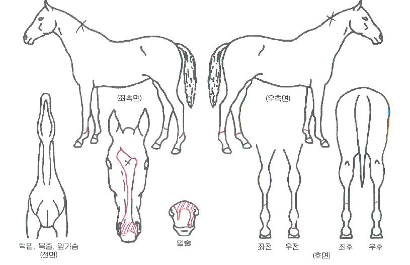 �������� ����,���,�޸�,�λ�,�ٸ��� Ư¡����