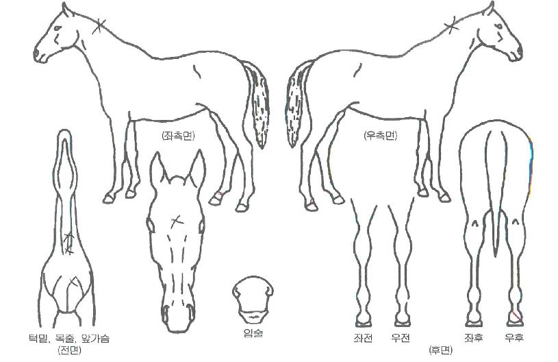 �������� ����,���,�޸�,�λ�,�ٸ��� Ư¡����