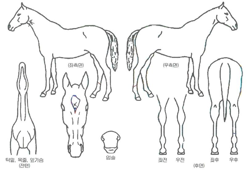 ���ƿ°����� ����,���,�޸�,�λ�,�ٸ��� Ư¡����