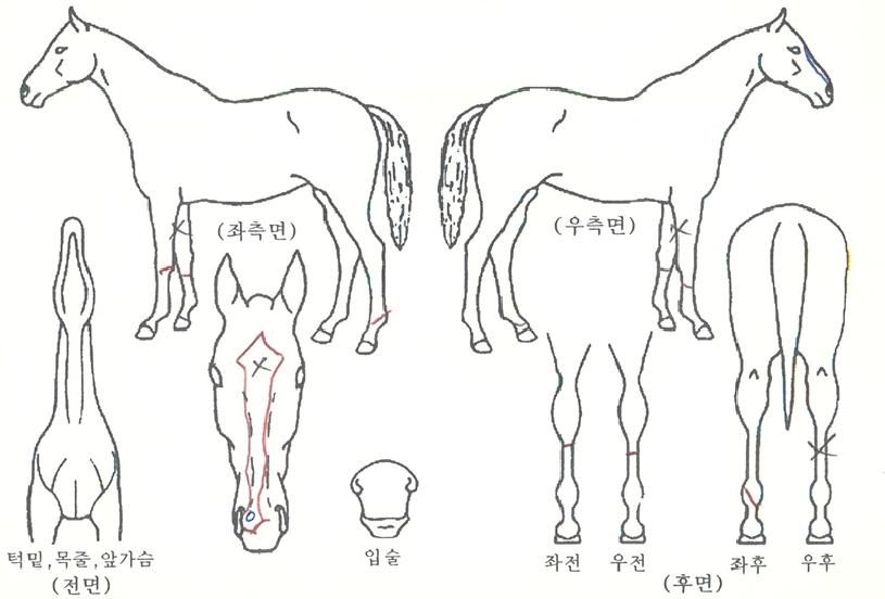 ��Ʈ�������� ����,���,�޸�,�λ�,�ٸ��� Ư¡����