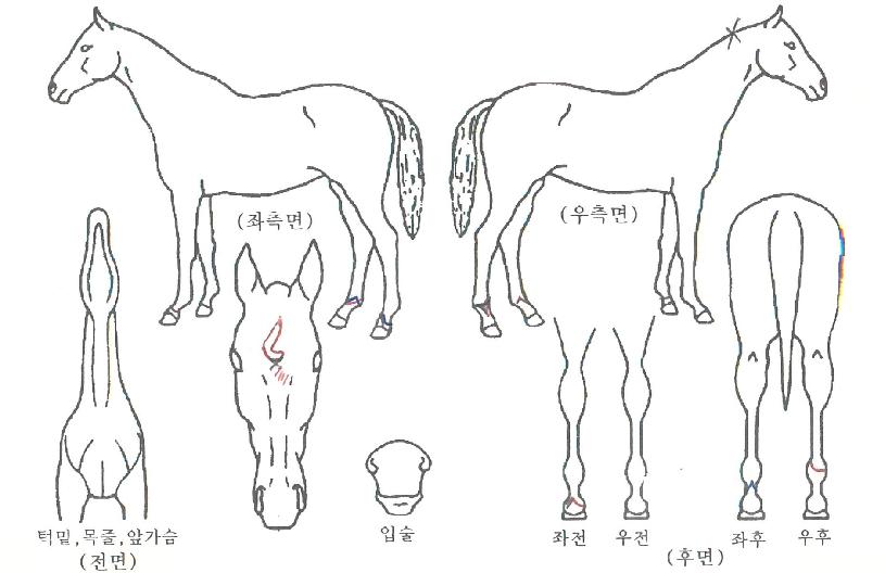 ���̽��� ����,���,�޸�,�λ�,�ٸ��� Ư¡����