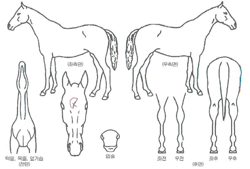 �������� ����,���,�޸�,�λ�,�ٸ��� Ư¡����