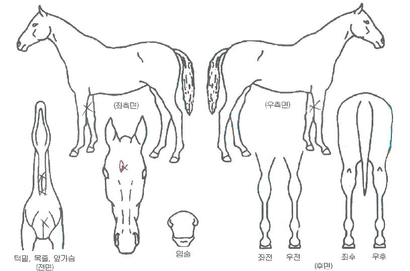 ���ۼҴ��� ����,���,�޸�,�λ�,�ٸ��� Ư¡����