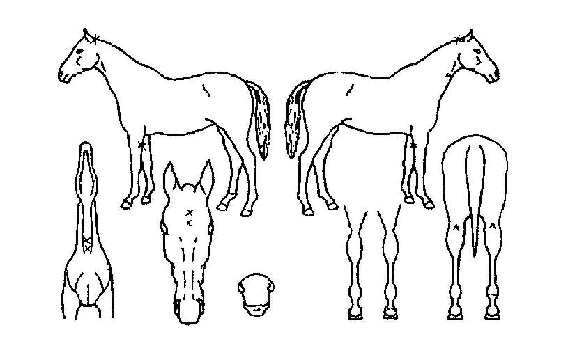 �׽�Ÿ��Ÿ�� ����,���,�޸�,�λ�,�ٸ��� Ư¡����