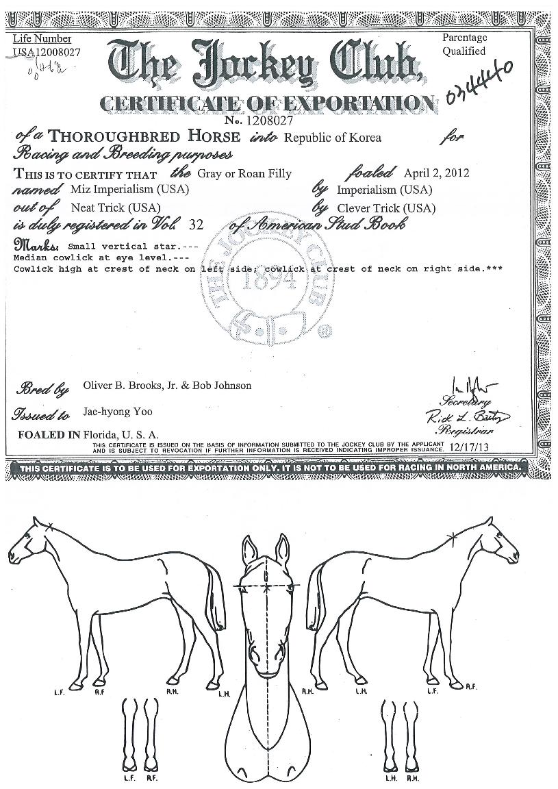 �������丮������ ����,���,�޸�,�λ�,�ٸ��� Ư¡����